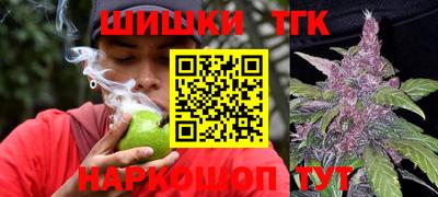 индика Краснознаменск